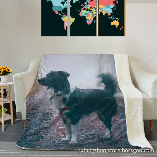 customized double king size 3D animal dog print fleece blanket